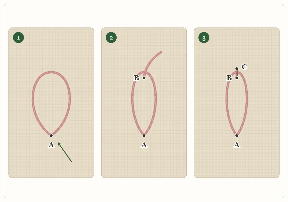Three-panel diagram of a lazy daisy petal: a loop left at point A, the needle coming up inside the loop at point B, and a tiny anchoring stitch over the loop