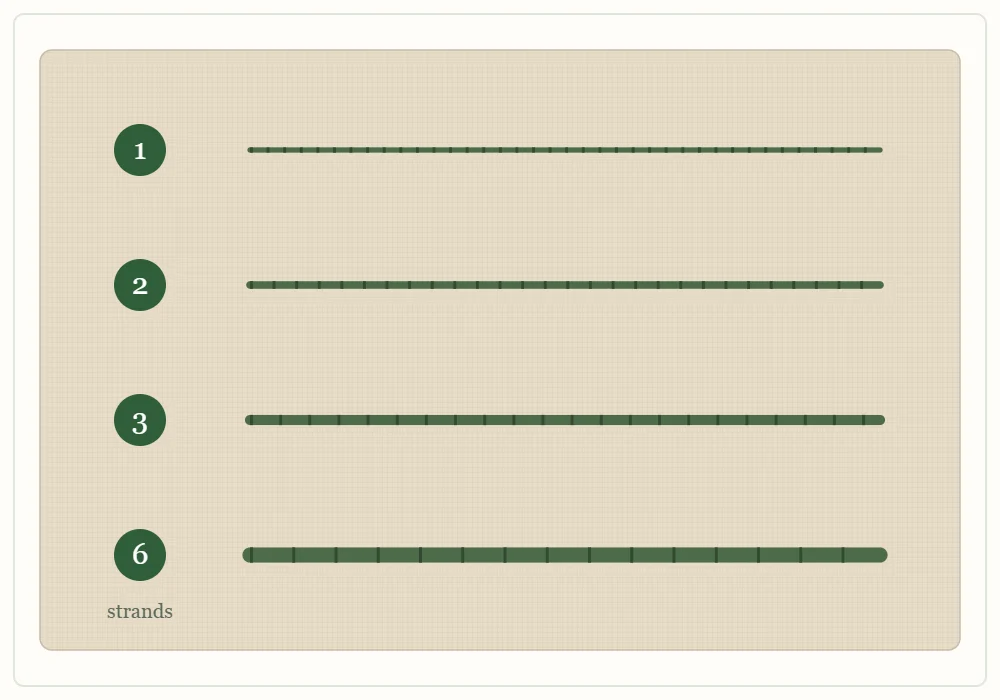 Four stitched lines of the same length labeled 1, 2, 3 and 6, showing how the line gets thicker as the number of strands increases
